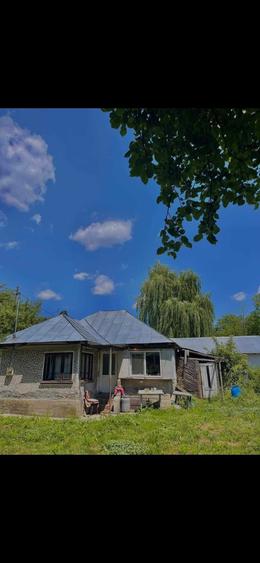 Casă cu 2 camere în Drăgăneasa