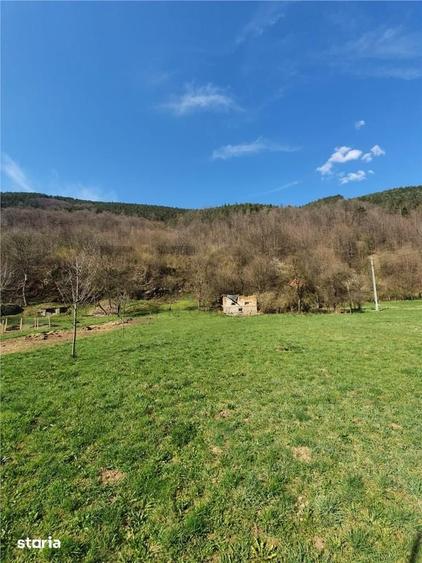 Teren de 6100 mp, în Bulz