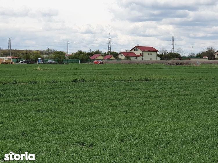 Teren de 800 mp, în Balotești
