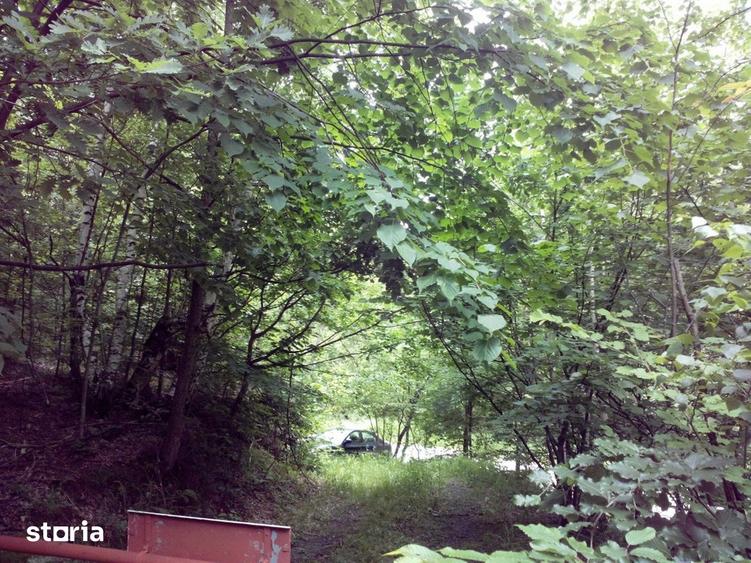 Teren de 5700 mp, în Râu de Mori