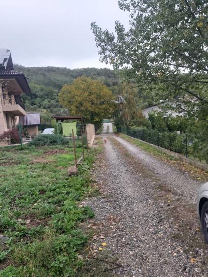 Teren de 2400 mp, în Vlădești