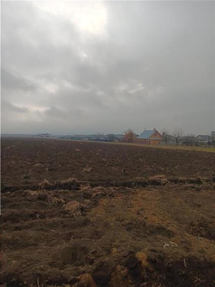 Teren Construcții intravilan de 8503 mp, în Aroneanu