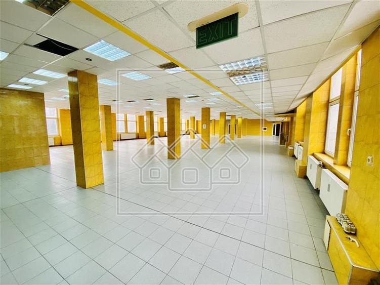 Spațiu industrial, de 1,200 mp, în Terezian