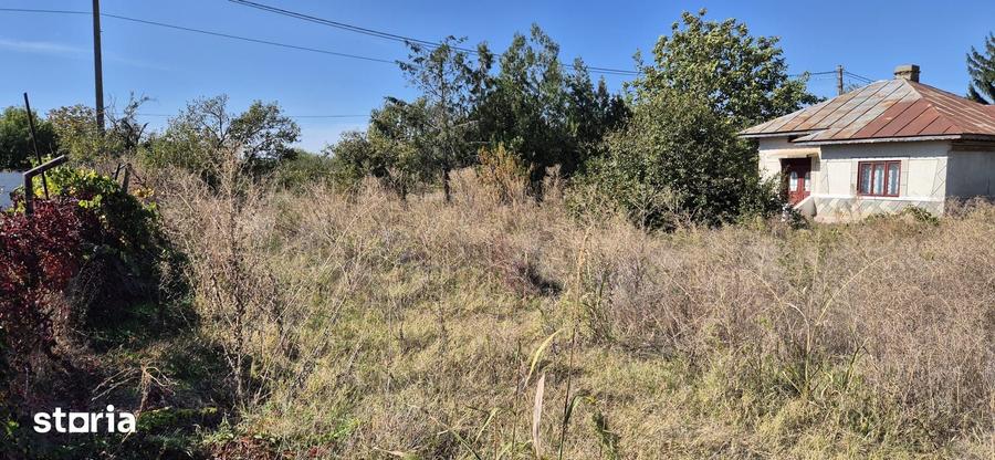 Casă cu 3 camere cu Teren 1000 Mp în Frăsinet
