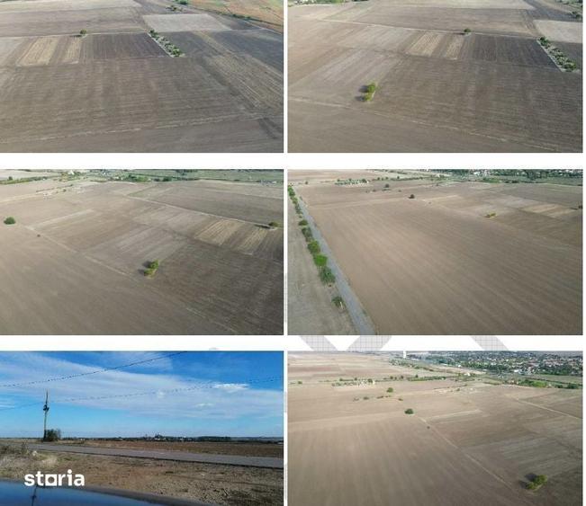Teren de 1500 mp, în Central