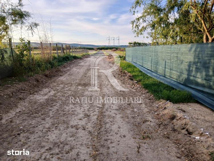 Teren de 500 mp, în Oșorhei