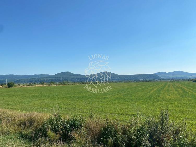 Teren agricol extravilan de 3000 mp, în Șieu-Măgheruș