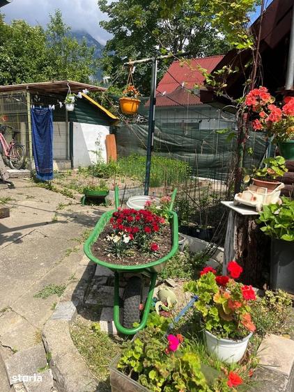 Casa cu 5 camere, garaj ?i pivni?a, Bu?teni, Poiana ?apului - 2