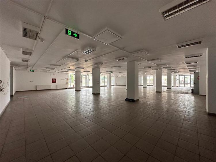 Spațiu industrial, de 1,310 mp, în Păcurari