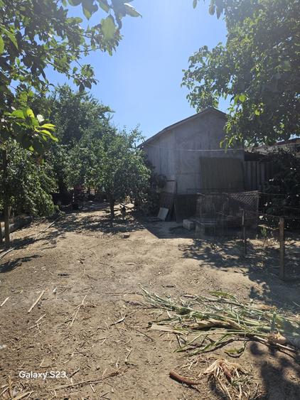 Casă cu 3 camere cu Teren 1776 Mp în Mineri