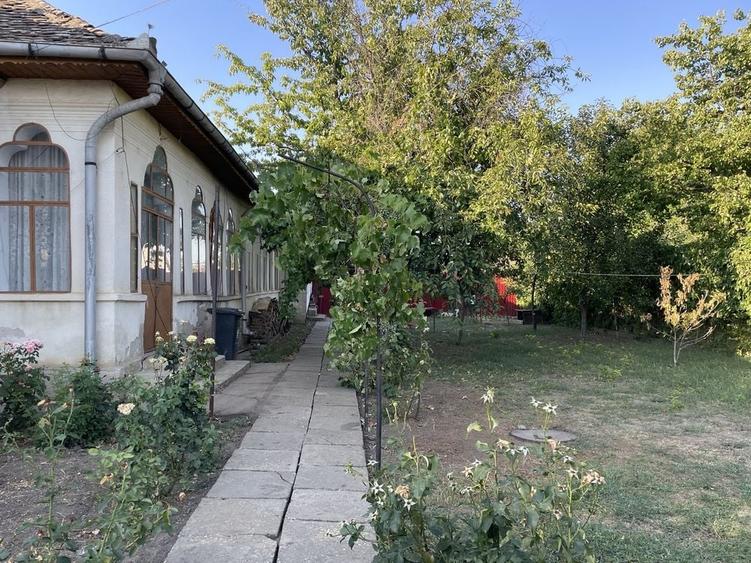 Casă cu 4 camere în Băilești