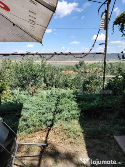 Casă cu 3 camere cu Teren 3900 Mp în Luna