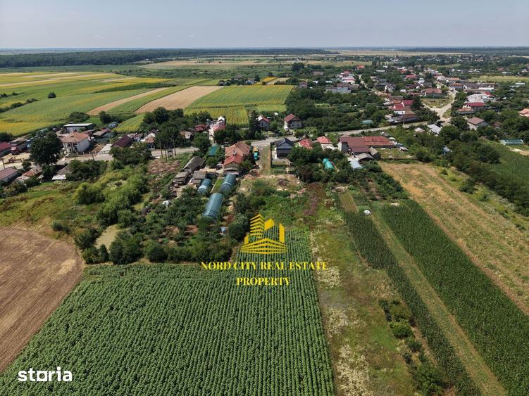 Teren de 2700 mp, în Ciocănești
