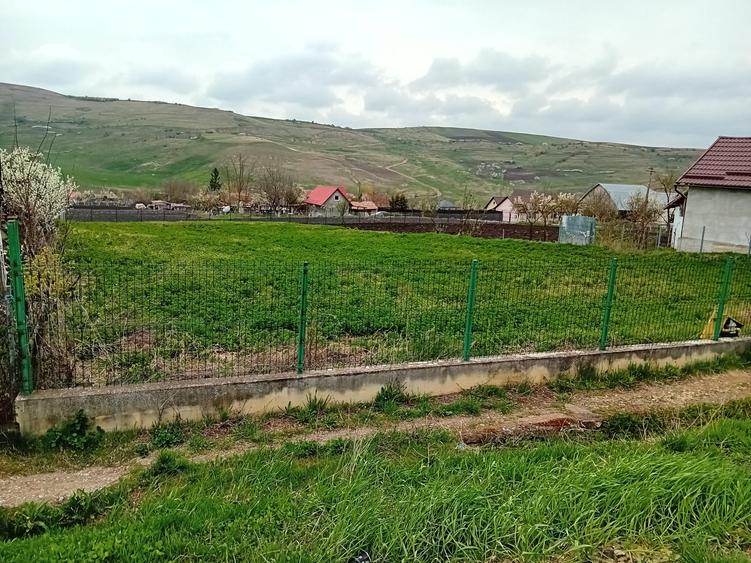 Teren Construcții intravilan de 1450 mp, în Frata