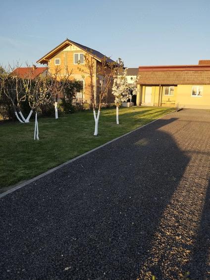 Teren de 595 mp, în Săcălaz