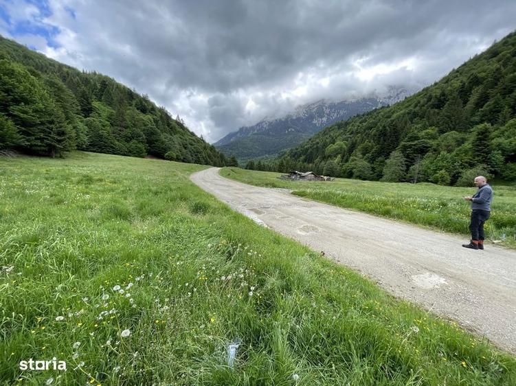 Teren de 7591 mp, în Poiana Mărului