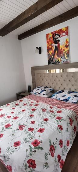 Casă cu 4 camere în Oșorhei
