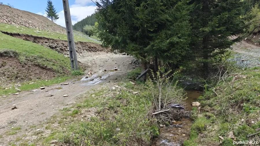 Teren de 1000 mp, în Băișoara