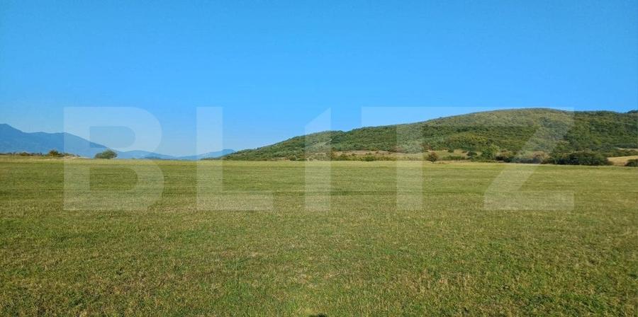 Teren Construcții intravilan de 3801 mp, în Unirea