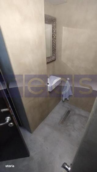 Apartament cu 6 camere, mobilat în Victoriei