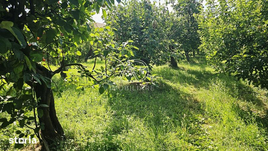 Casă cu 6 camere cu Teren 3250 Mp în Central