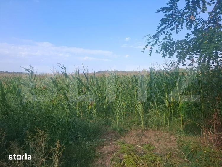 Teren de 2800 mp, în Central