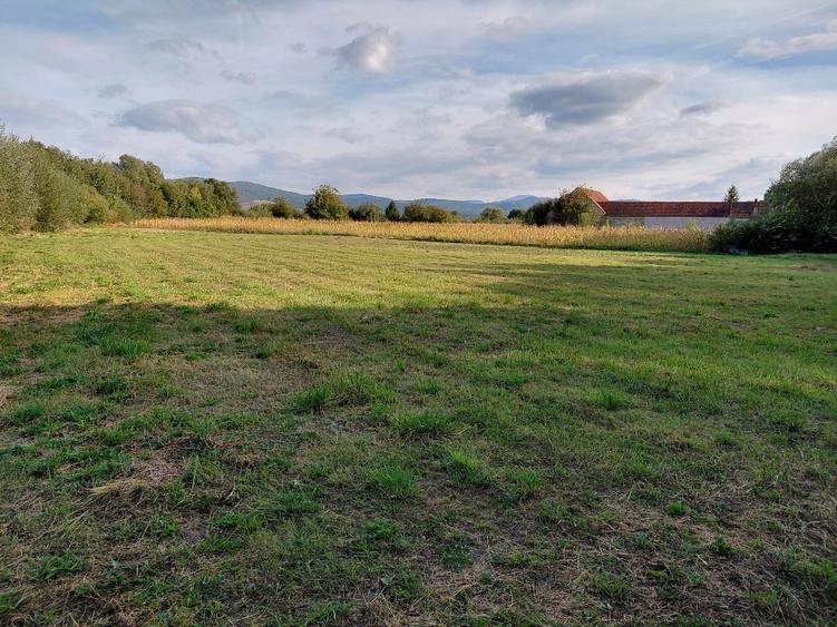 Teren Construcții intravilan de 4500 mp, în Stupinii Prejmerului
