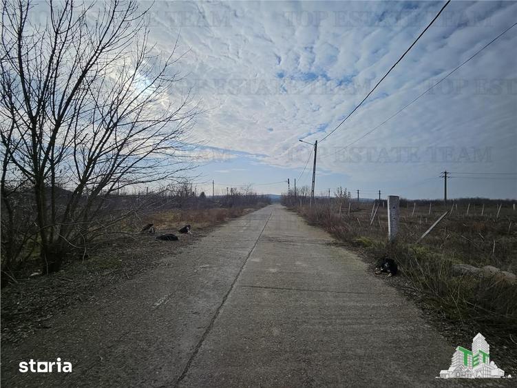Teren de 28000 mp, în Hârșova