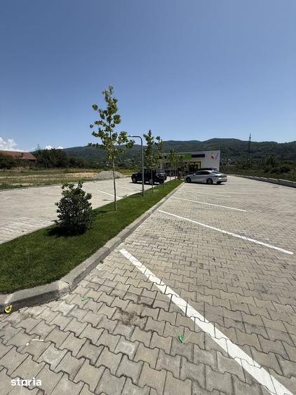 Teren de 13000 mp, în Bujoreni