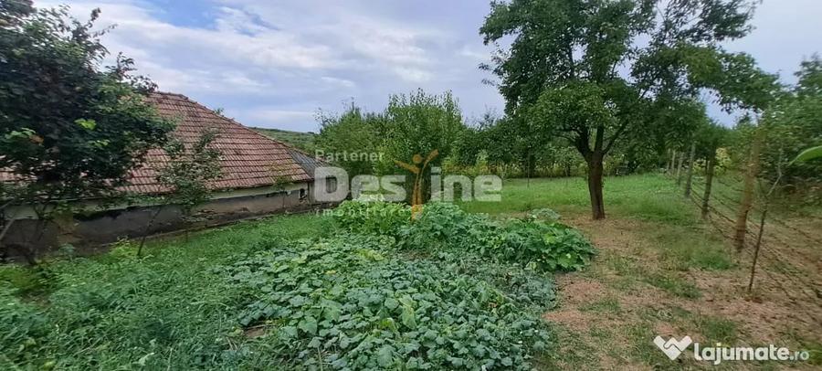 Casă cu 3 camere cu Teren 1715 Mp în Cornești