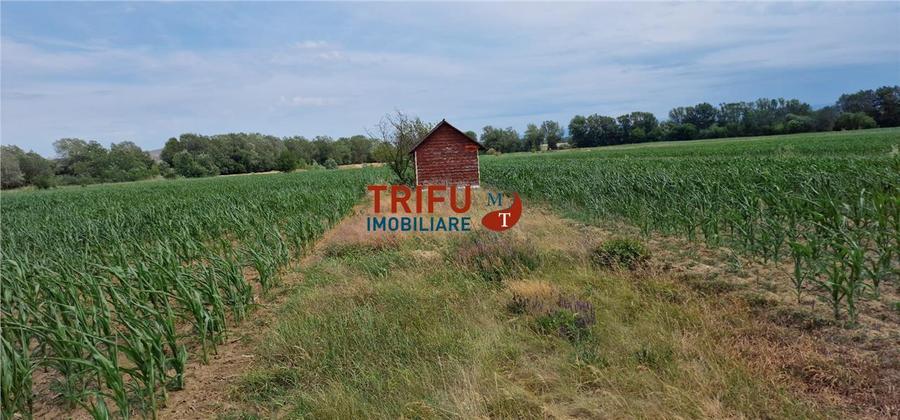 Teren agricol intravilan de 5500 mp, în Vințu de Jos