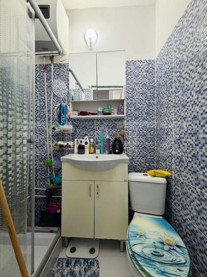 Garsoniera vanzare, 20 mp, etaj 2, zona Tineretului - 4
