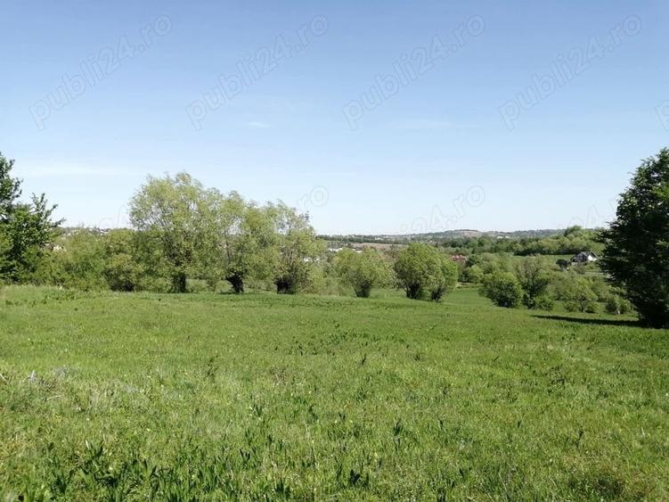 Teren de 1600 mp, în Cacica