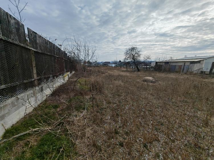 Teren Construcții intravilan de 2005 mp, în Letea