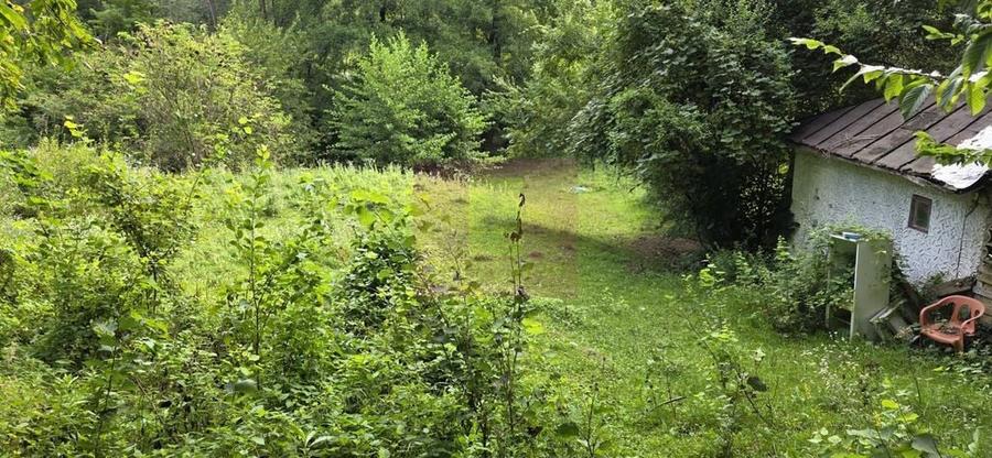 Teren de 15000 mp, în Telega