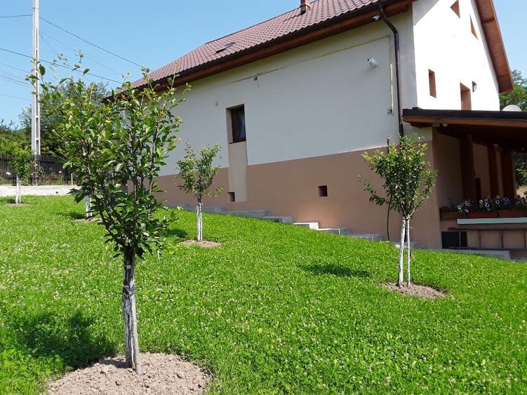 Casă individuală cu 4 camere cu Teren 6202 Mp în Totea de Hurezani