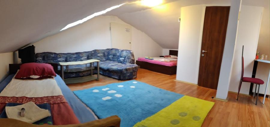Apartament cu o cameră / Mansardă/ 45 mp/ confort lux/ utilată - 2
