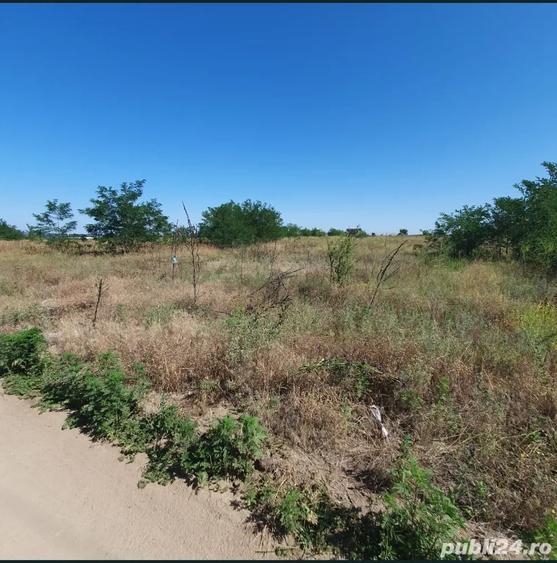 vand teren intravilan Malu Mare 1500 mp - strada Salcamilor - 9