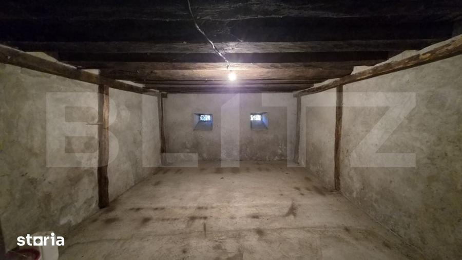 Casă cu 3 camere cu Teren 4800 Mp în Central