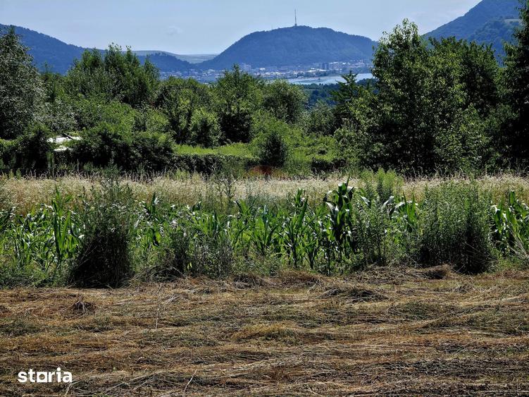 Teren de 600 mp, în Alexandru cel Bun