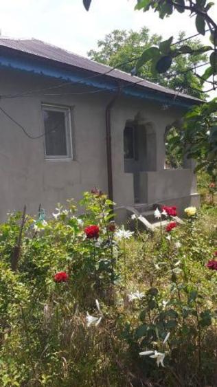 Casă individuală cu 5 camere cu Teren 1100 Mp în Colceag