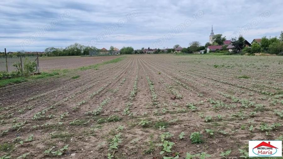 Teren de 10570 mp, în Oar