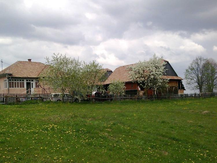Casă cu 2 camere în Mărcești