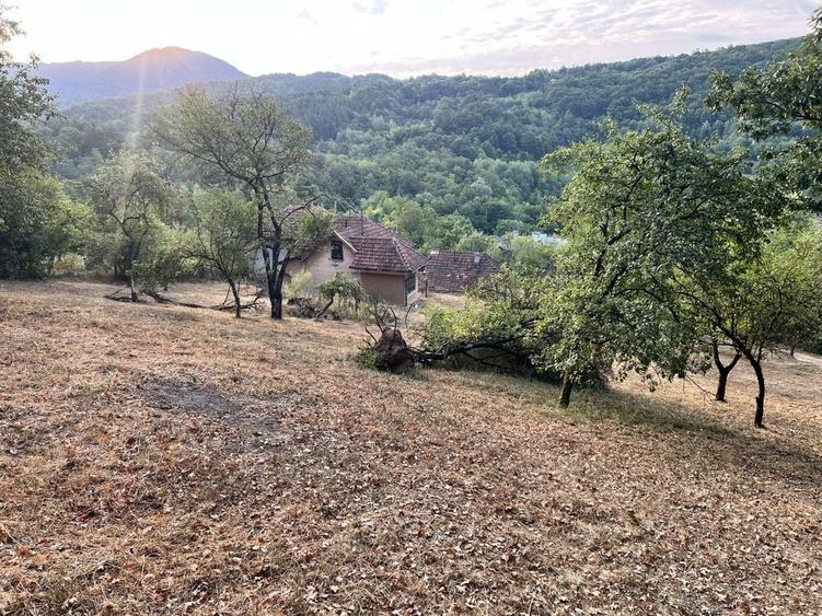 Casă cu 3 camere în Certeju de Sus