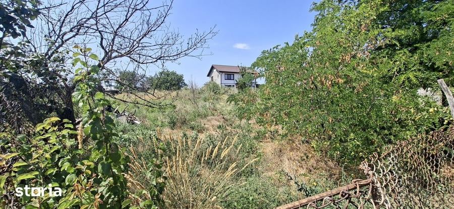 Casă cu 3 camere cu Teren 1905 Mp în Vânători