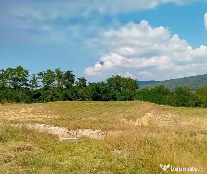 Teren de 500 mp, în Sud