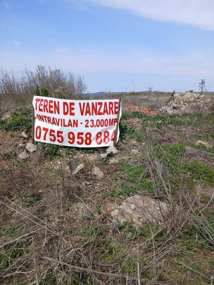 Teren de 23000 mp, în Oșorhei