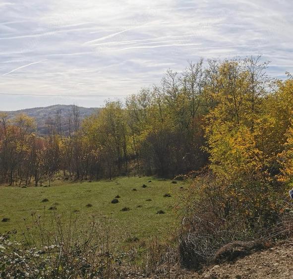 Teren de 2500 mp, în Vitioara de Sus