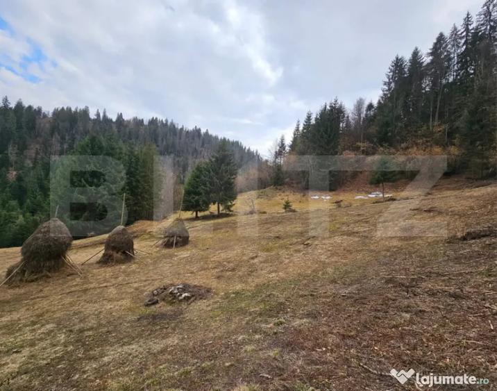 Teren în Scărișoara