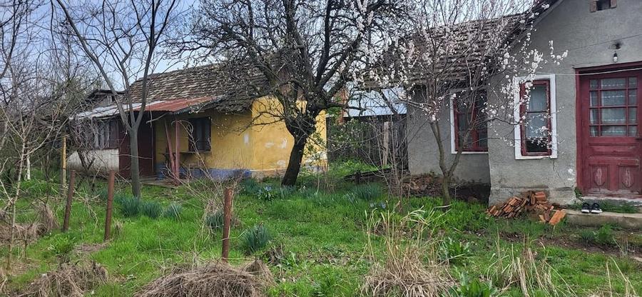 Casă cu Teren 2000 Mp în Plenița